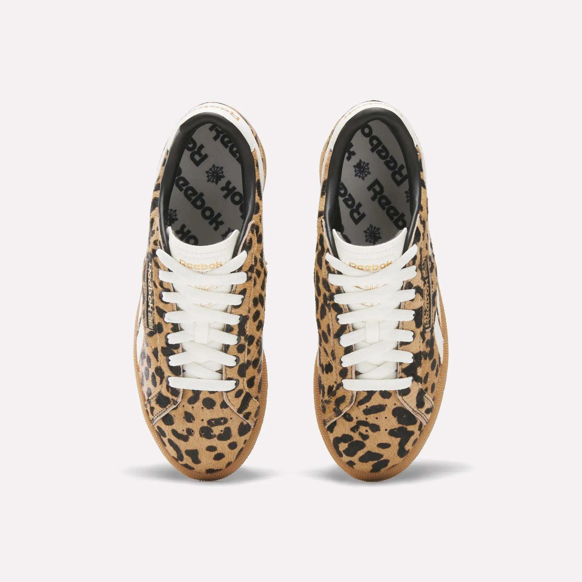 Cheetah/Cheetah/Chalk