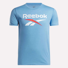 Light Blue Heather