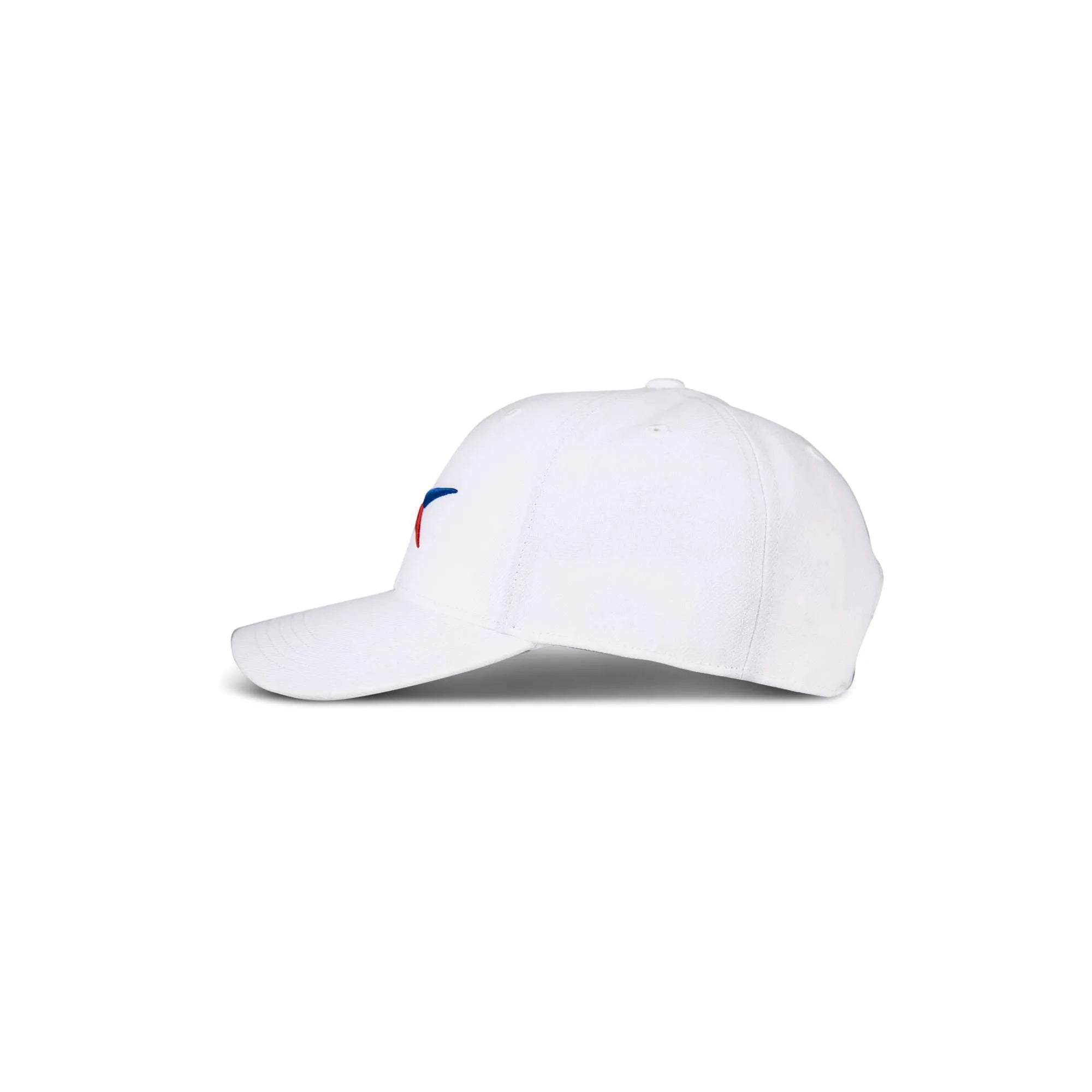 White With Red/Blue Vector