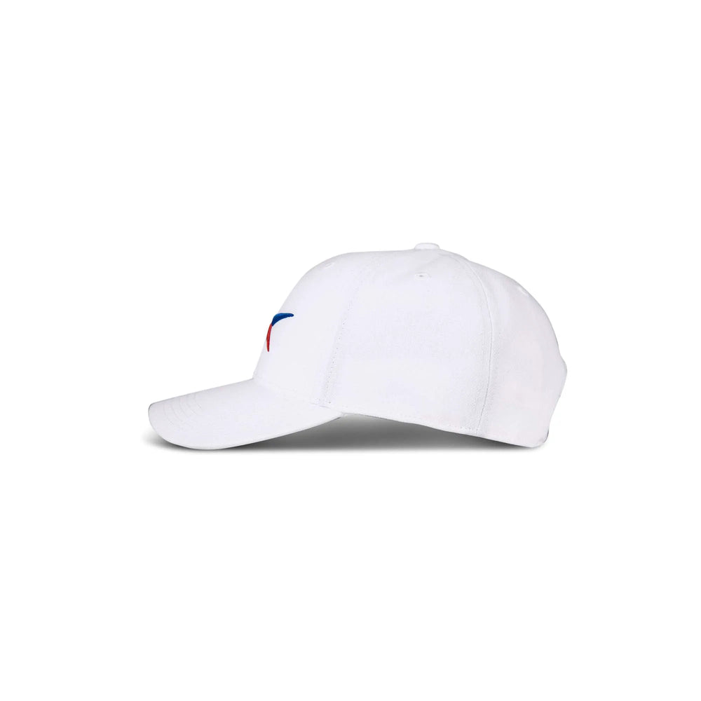 White With Red/Blue Vector
